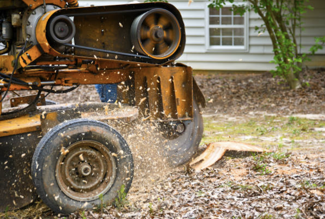 stump grinding montgomery pa